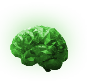 Humaine green brain