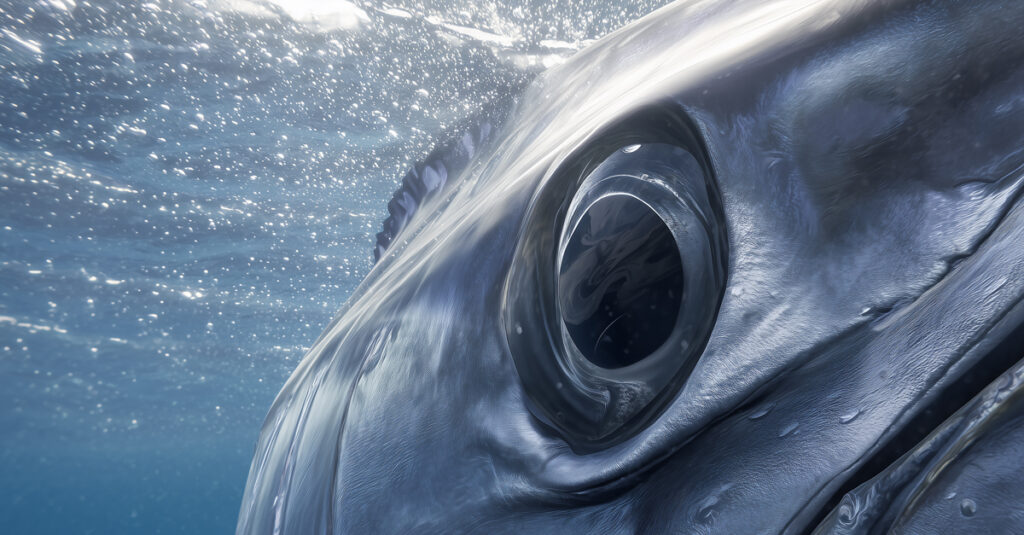 The New Creative Lie: Toss in a Prompt, Land a Marlin
